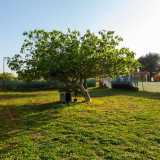 ...che ci guida verso un grande giardino posto di fianco alla casa in cui vive